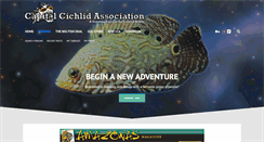 Desktop Screenshot of capitalcichlids.org